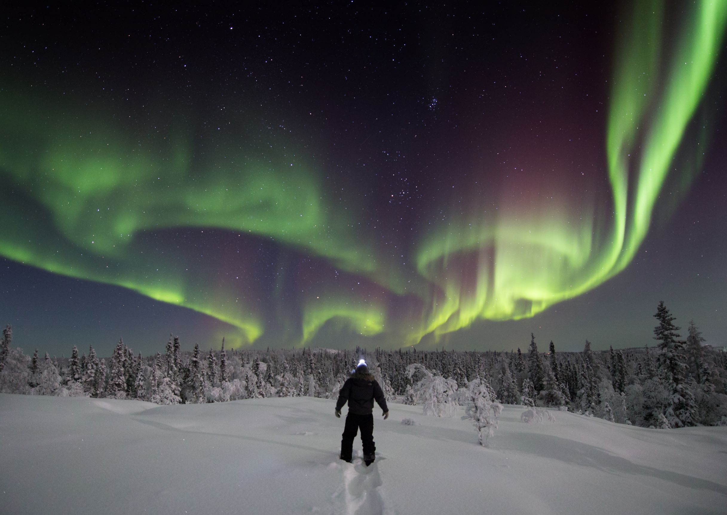 A man walking out in snow under the green aurora in the NWT. 
